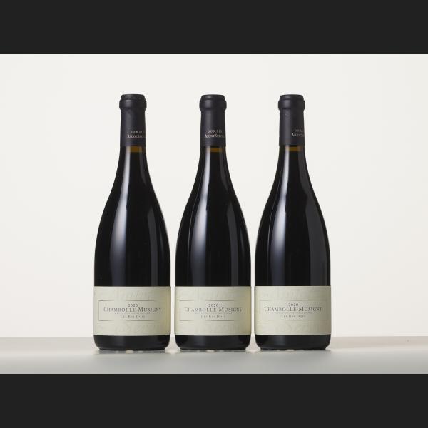 Lot : 22