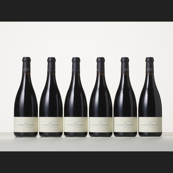 Lot : 23