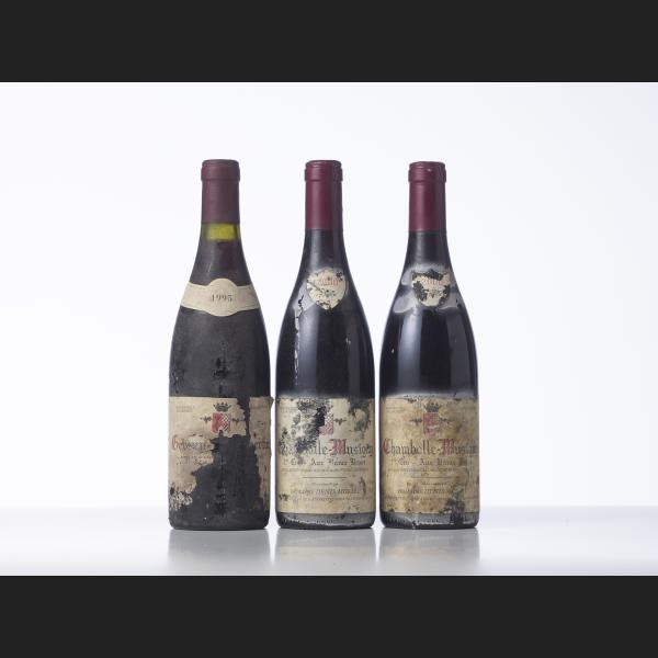 Lot : 305