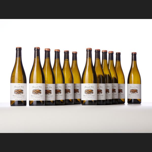 Lot : 999